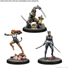 Load image into Gallery viewer, Marvel Crisis Protocol Echo, Ronin &amp; Tigra