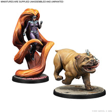 Load image into Gallery viewer, Marvel Crisis Protocol Inhumans Affiliation Pack
