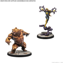 Load image into Gallery viewer, Marvel Crisis Protocol – Winter Guard Affilition Pack