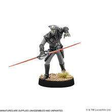 Load image into Gallery viewer, Star Wars: Legion – Fifth Brother &amp; Seventh Sister